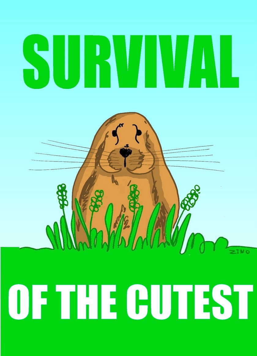 Survival of the cutest.